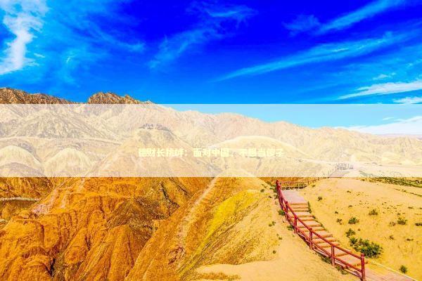 德财长挑衅：面对中国，不想当傻子