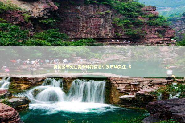 美国公布死亡美军详细信息引发市场关注_8