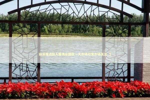 纵深推进融入服务全国统一大市场引发市场关注_5