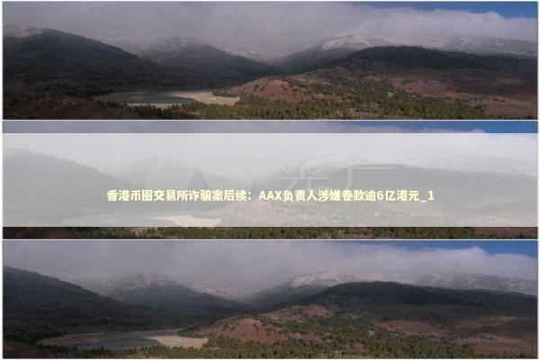 香港币圈交易所诈骗案后续：AAX负责人涉嫌卷款逾6亿港元_1