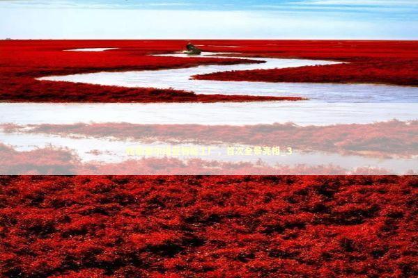 轮胎塞尔维亚智能工厂，首次全景亮相_3