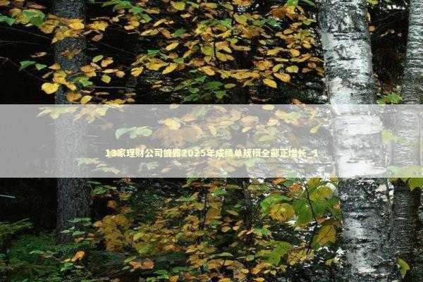 13家理财公司披露2025年成绩单规模全部正增长_1