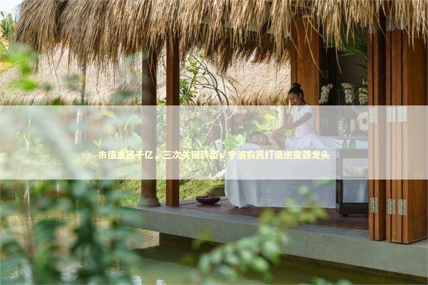 市值重回千亿，三次关键转型，宁波农民打造逆变器龙头