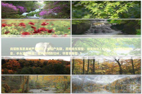 房屋散发恶臭被严重损坏，女租户失联，昆明房东报警：损失预估2万以上，她曾自称刚毕业，手头紧；物业：屋内狗彻夜狂叫，邻居曾报警_5