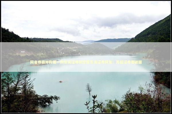 同省券商并购第一例东吴证券拟控股东海证券网友：苏超证券要破圈