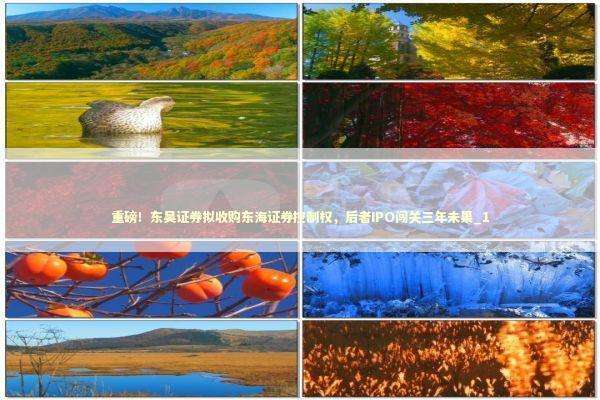 重磅！东吴证券拟收购东海证券控制权，后者IPO闯关三年未果_1