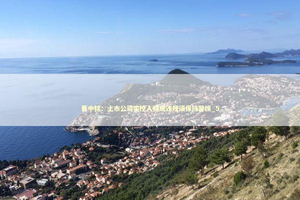曹中铭：上市公司实控人频现违规须保持警惕_5