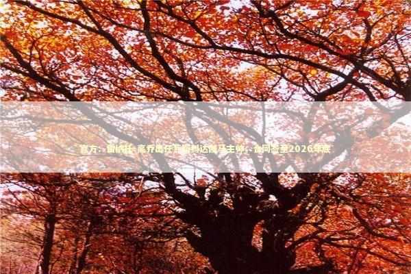 官方：雷纳托-高乔出任瓦斯科达伽马主帅，合同签至2026年底