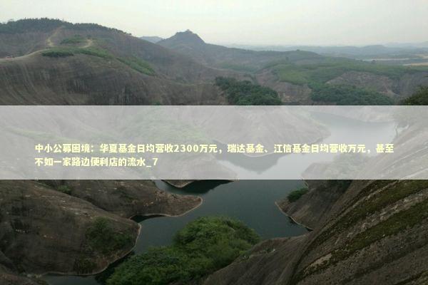 中小公募困境：华夏基金日均营收2300万元，瑞达基金、江信基金日均营收万元，甚至不如一家路边便利店的流水_7