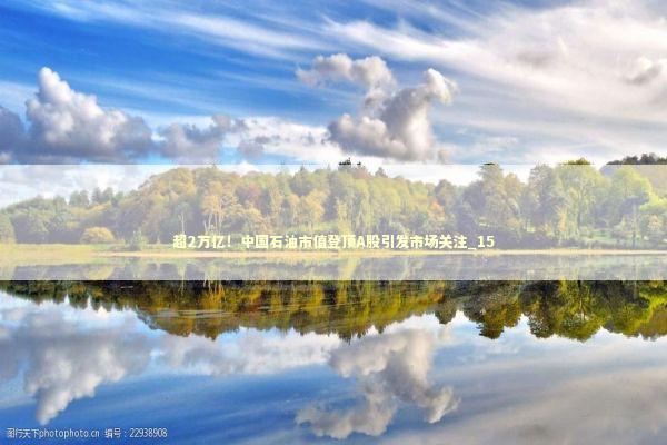 超2万亿！中国石油市值登顶A股引发市场关注_15