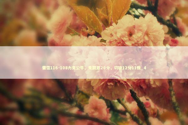 雷霆116-108力克公牛，麦凯恩20分，切特12分11板_4