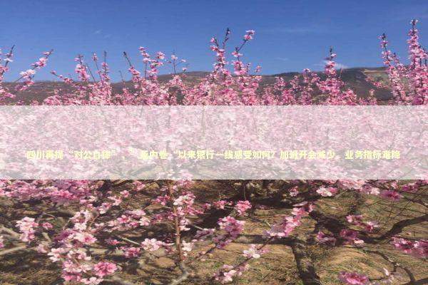 四川再提“对公自律”，”反内卷“以来银行一线感受如何？加班开会减少、业务指标难降