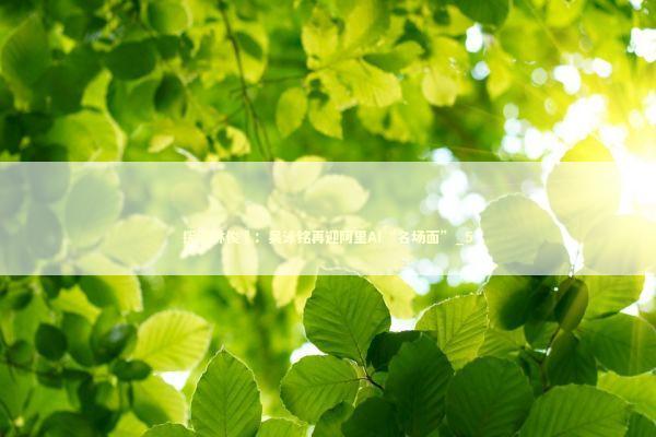 挥别林俊旸：吴泳铭再迎阿里AI“名场面”_5