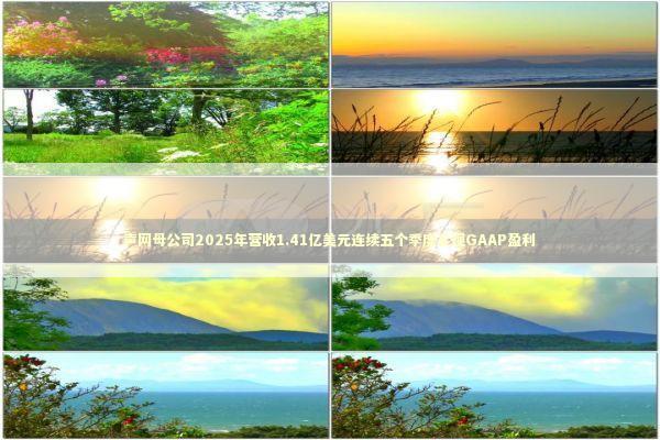 声网母公司2025年营收1.41亿美元连续五个季度实现GAAP盈利