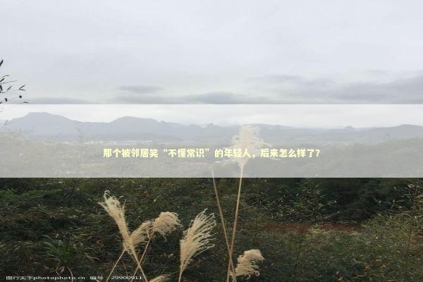 那个被邻居笑“不懂常识”的年轻人，后来怎么样了？