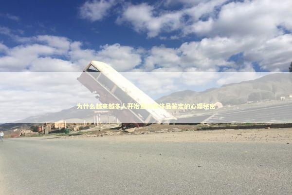 为什么越来越多人开始重视奢侈品鉴定的心理秘密