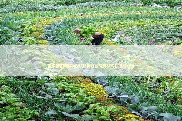 奢侈品官网购物避坑指南这些隐藏技巧你必须知道 时尚用品