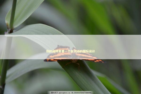 你的品牌需要一个会说话的图标设计